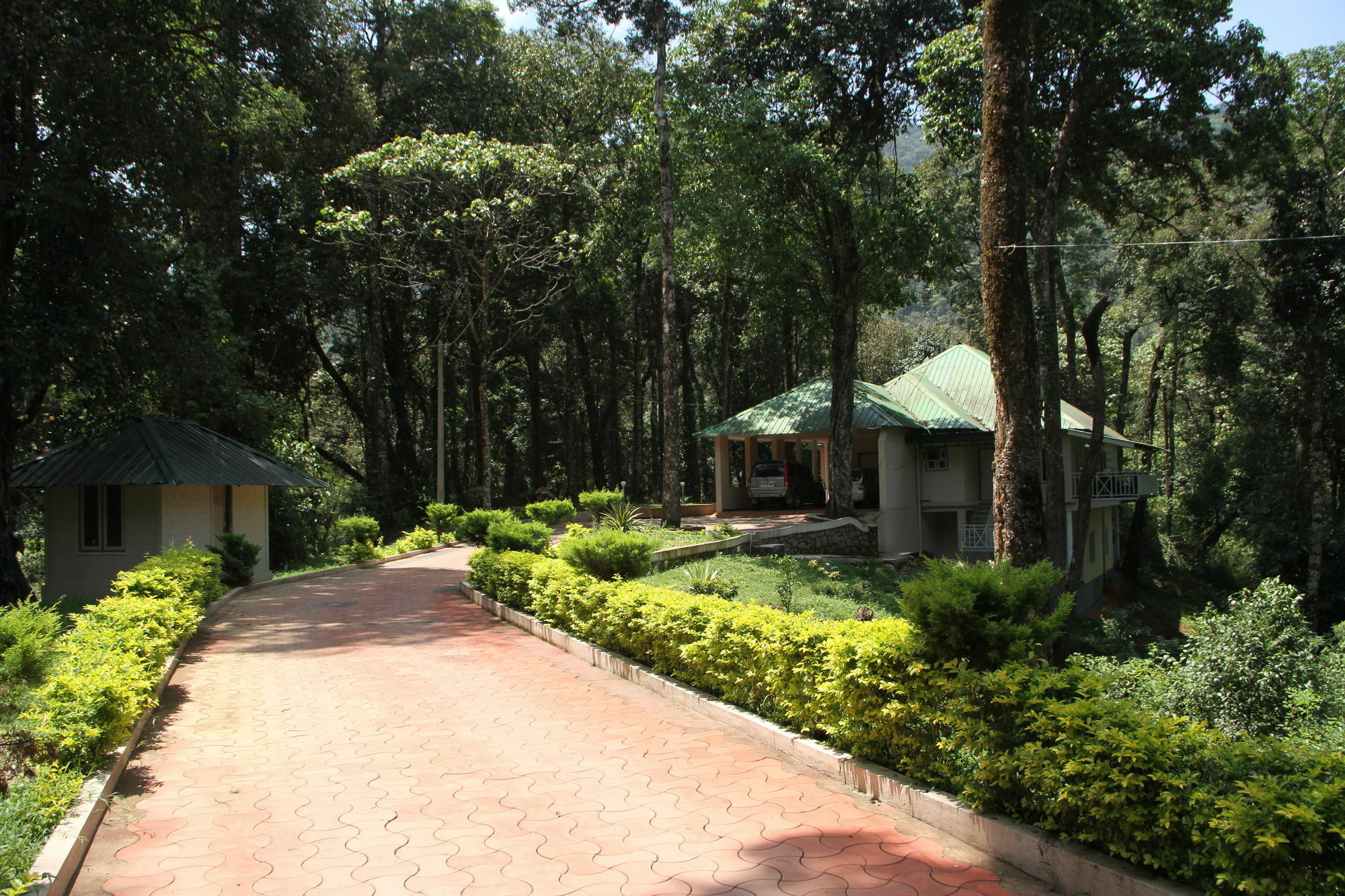 Deep Woods Resort Munnar Extérieur photo